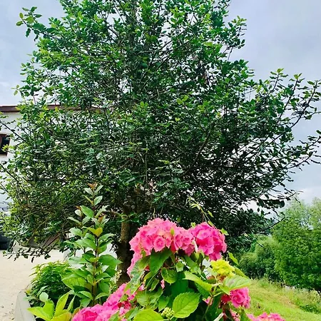 Prázdninový dům Finca La Naguada Casa Rural En Asturias *